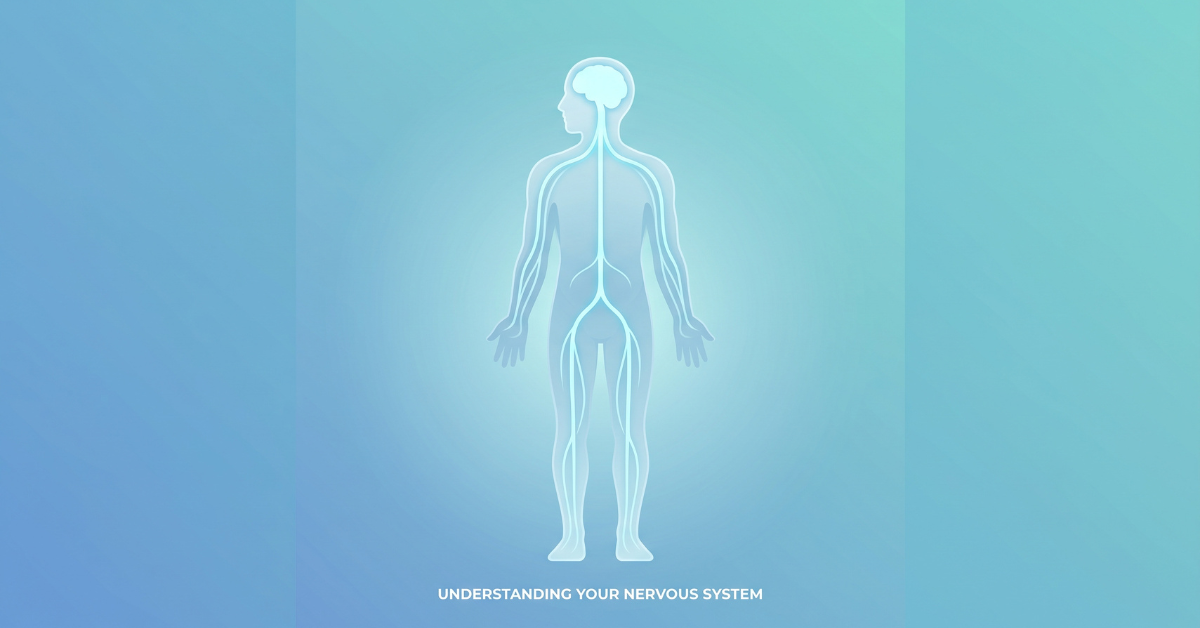 Understanding the nervous system