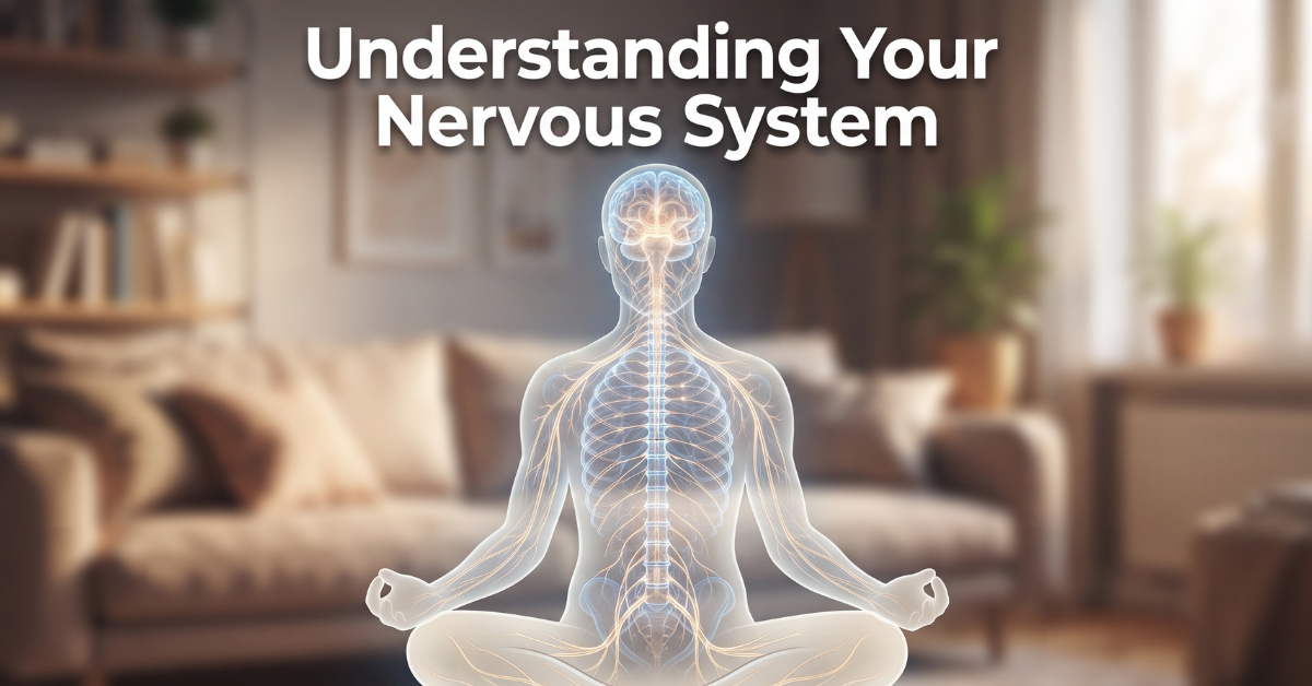 Illustration of the nervous system pathway
